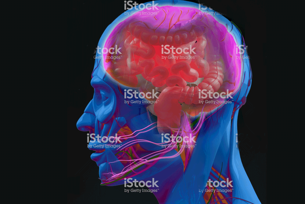 Gut microbiome and its impact on mood